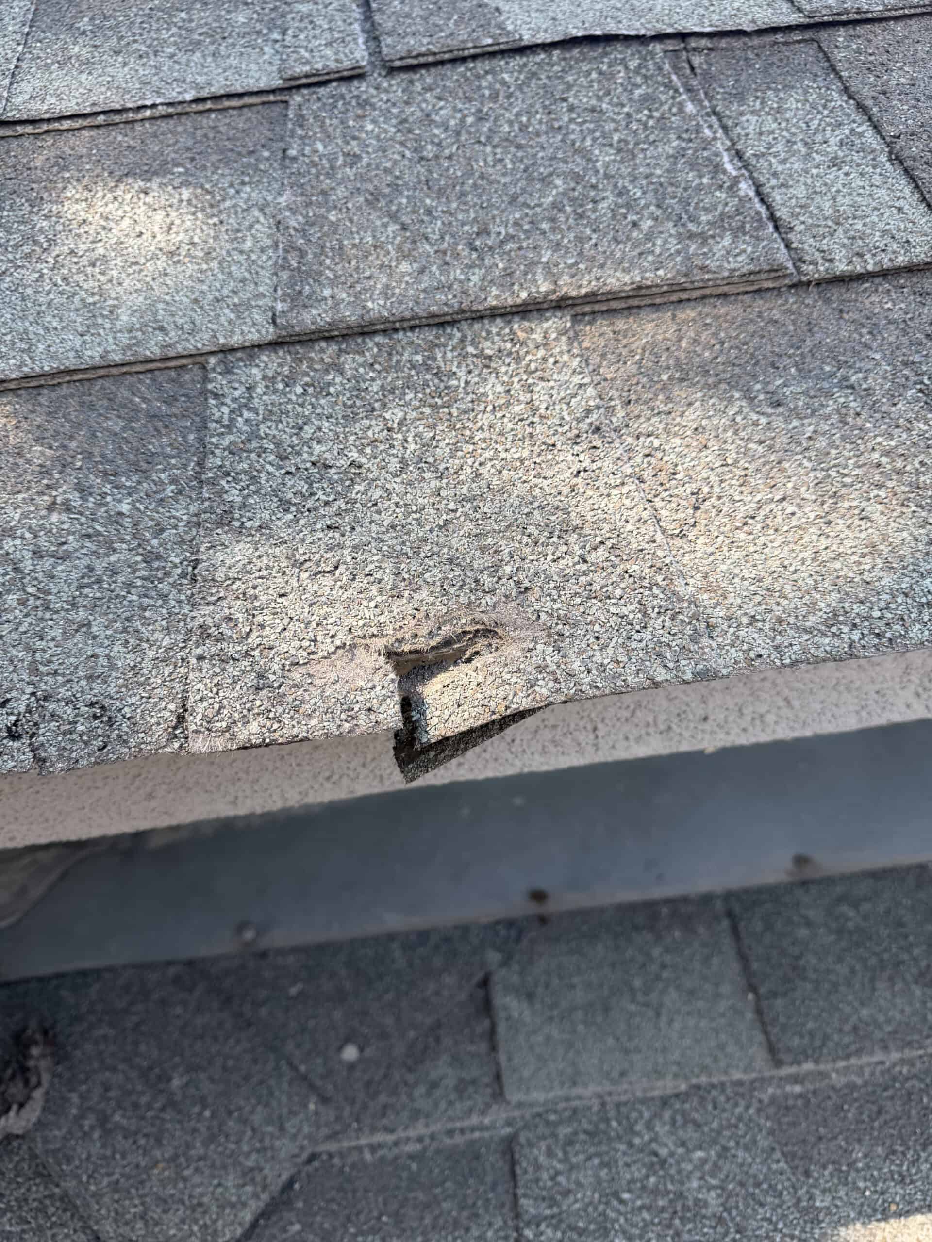 Asphalt shingle condition documented during an RTII roof inspection in Colorado Springs, Colorado